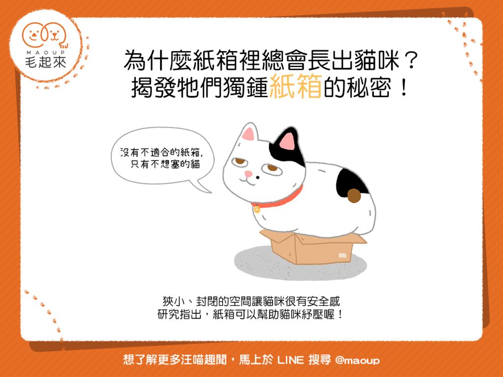 【汪喵行為學】為什麼紙箱總會長出貓咪？揭發牠們獨鍾紙箱的秘密