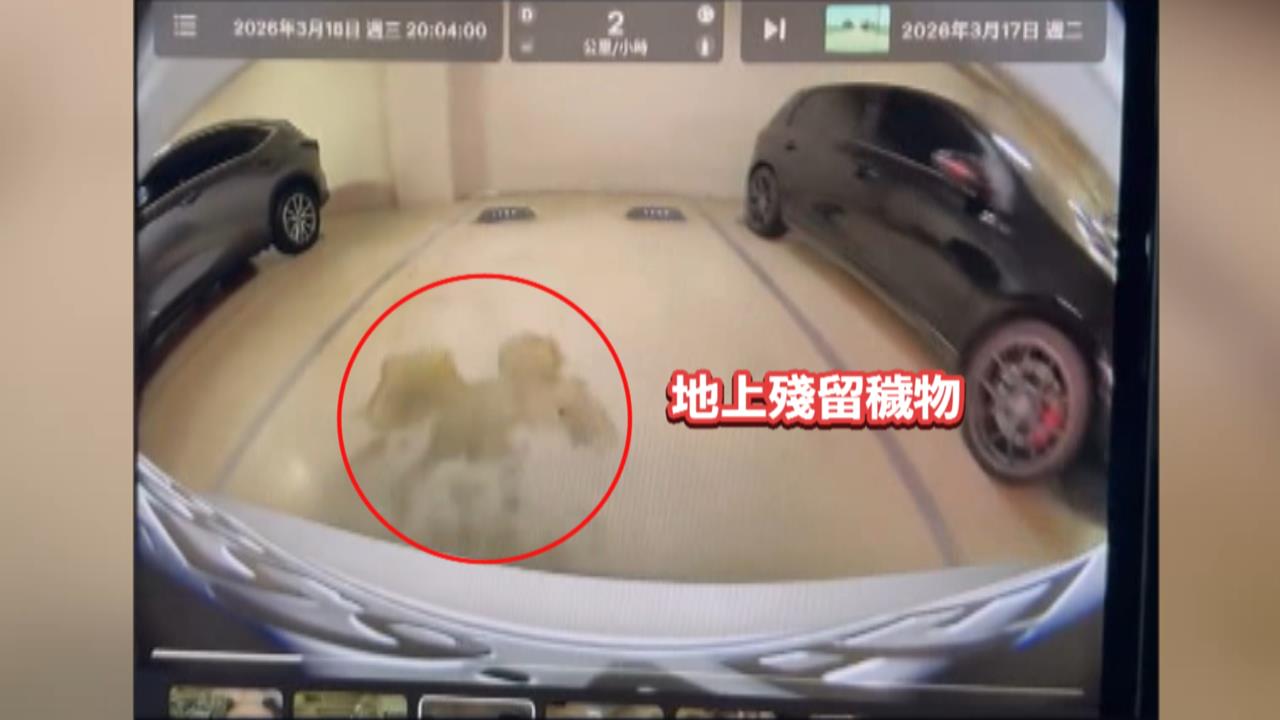 台中商場停車場「這疏失」 車主甫牽新車遭排泄物攻擊