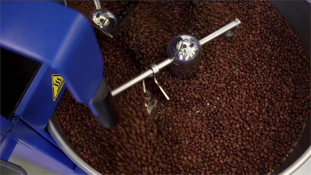 全球每年約喝掉5千億杯咖啡　加州大學開設「咖啡課程」