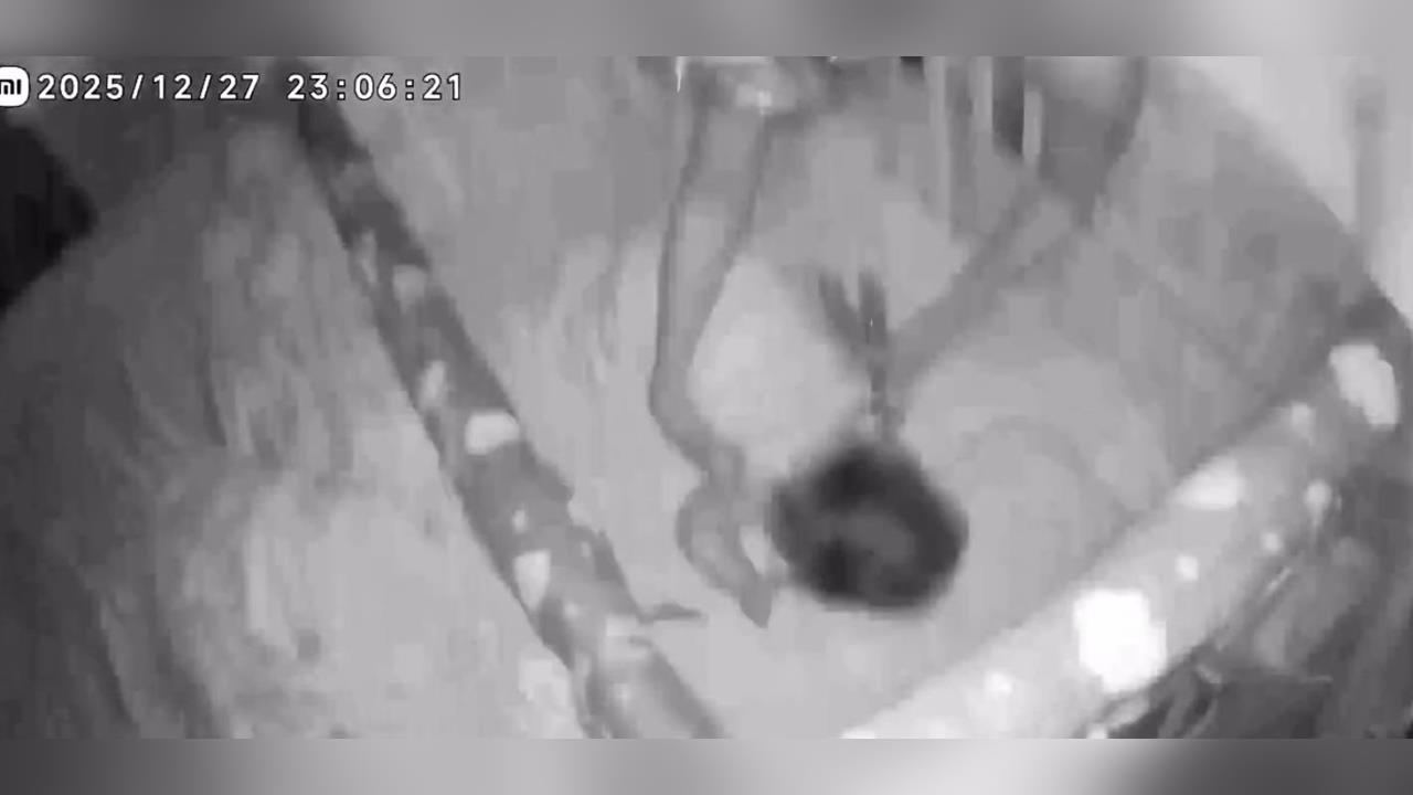 快新聞／深夜有感地震！27樓住戶衝向嬰兒床　監視器紀錄搖晃一瞬間