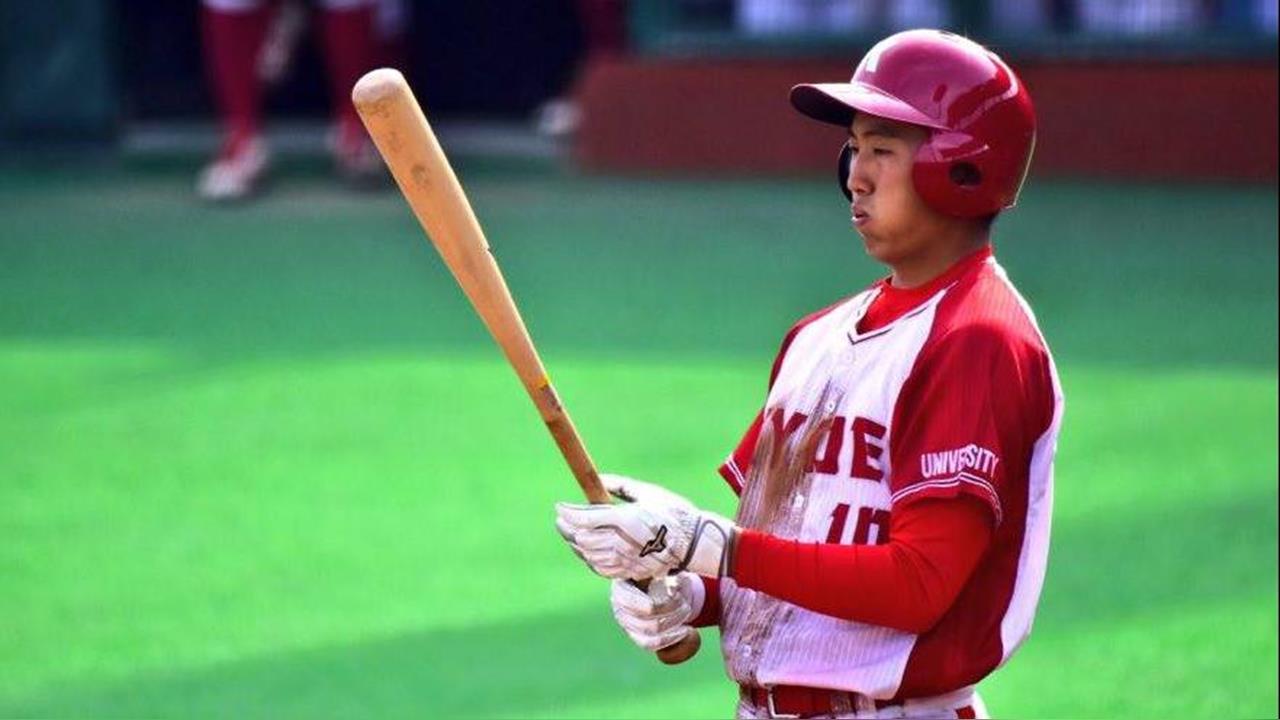 經典賽(影)／阪神翻譯也要「二刀流」！將代表巴西參戰WBC鎮守先發游擊