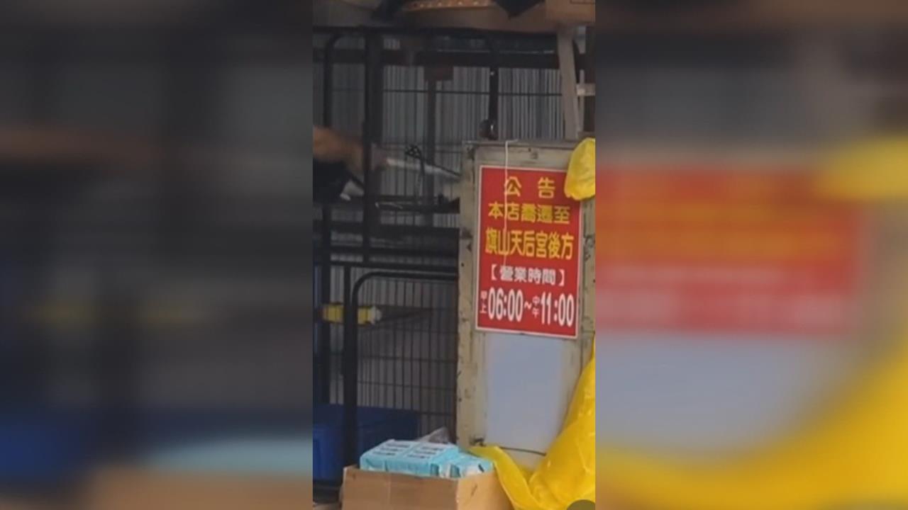 太殘忍! 高雄店家涉虐貓遭「蛋洗」 「持棍猛戳打」影片PO網引撻伐