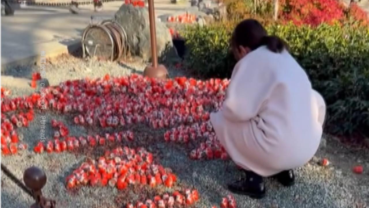 日本大阪勝尾寺"愛台達摩大軍"　　疑中國遊客闖入破壞