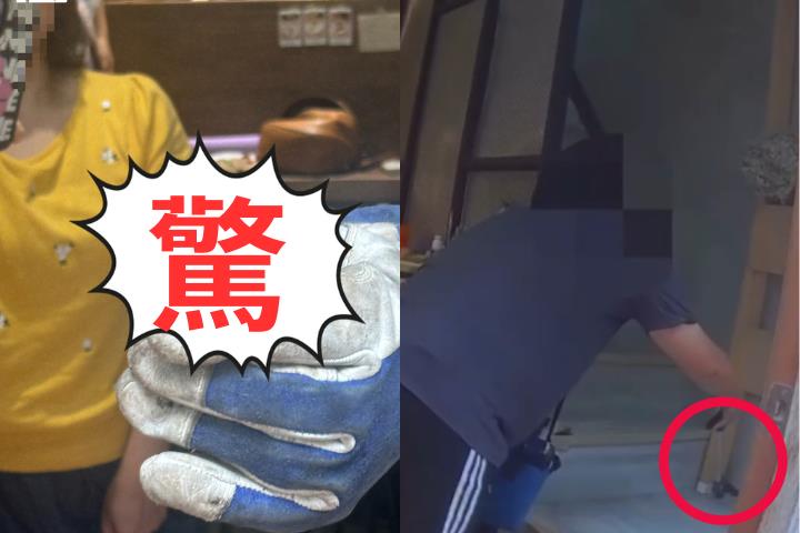 高雄姐弟衝進派出所驚喊「家裡有蛇」!警消到場竟抓到劇毒「飯匙倩」