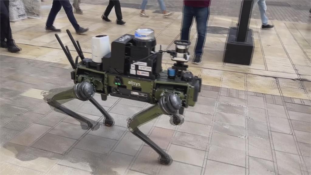 AI時代來臨！　西班牙測試機器狗取代交通警察