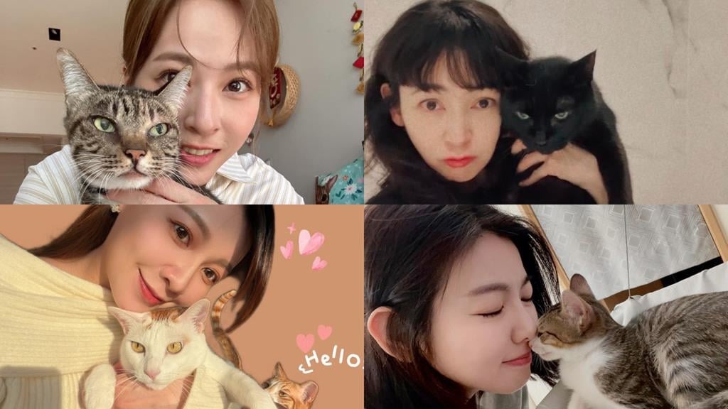 蘇晏霈、謝京穎、米可白與蔡燦得都被喵星人徹底征服!女神變貓奴日常大公開