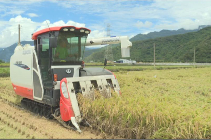 池上警出借三角錐  防運割稻機貨車被撞