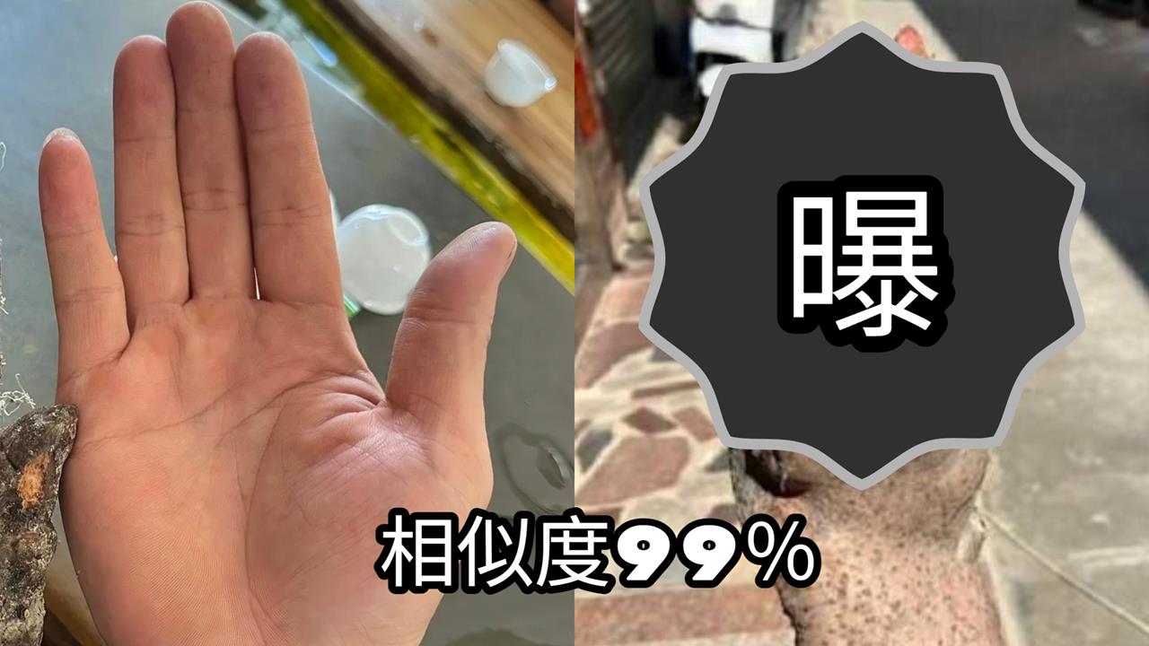 自家菜園挖出「人類手掌」？五指分明超詭異…竟有人開價3.7萬收購