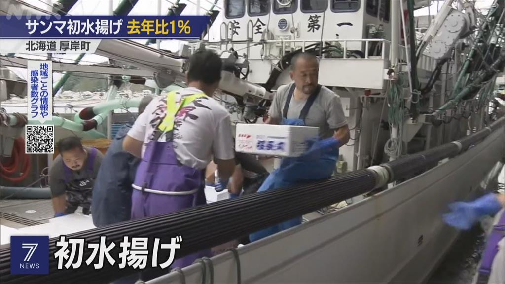 秋刀魚被吃光光？日本首批卸貨量僅去年１％