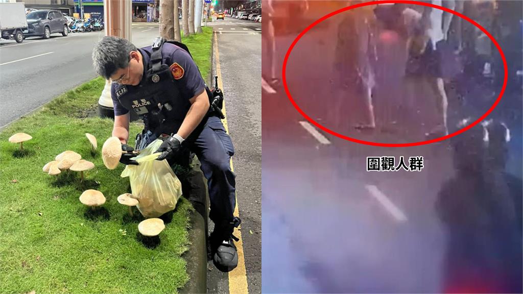 分隔島菇菇們「員警跪地拔」畫面瘋傳！他怒噴「誰下令的」：把警察當清潔隊