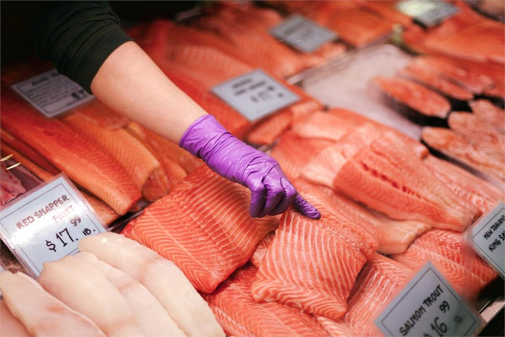 食欲之秋！　北海道秋鮭拍賣　最高價達1.4萬日圓