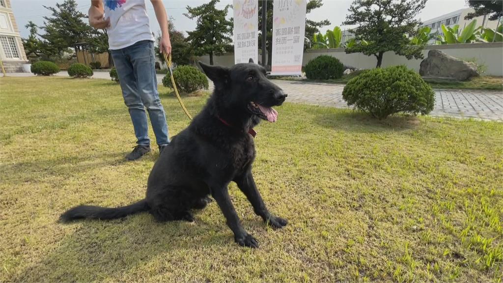 感念過去奉獻 屏東打造搜救犬版「榮民之家」