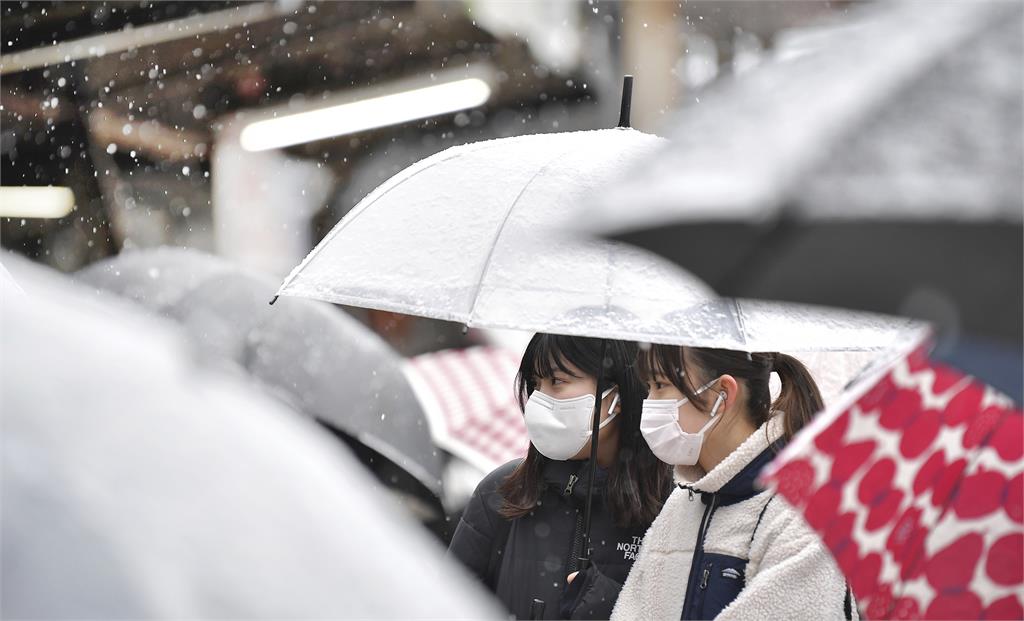 日本10年最強寒流　新潟縣積雪2.5公尺公車站不見了！