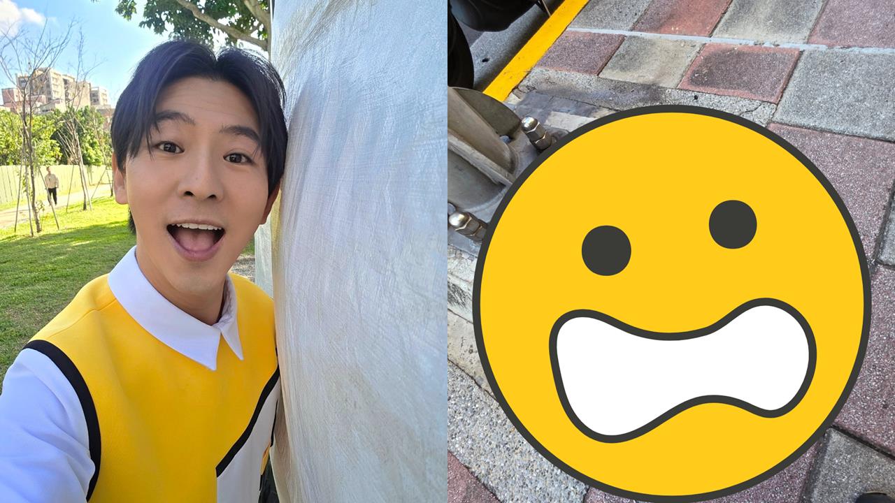 「最傻眼路殺！」秀朗橋下驚見藍腹鷴屍體　柳丁哥哥嘆：這次救援是人生最難忘