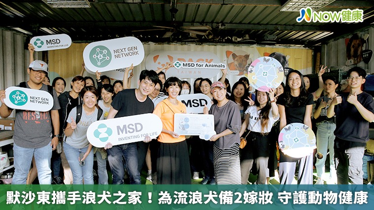 默沙東攜手浪犬之家！為流浪犬備2嫁妝 守護動物健康