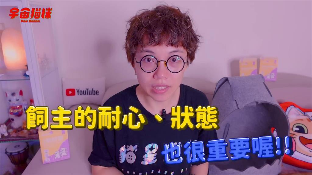 喵星人「頻繁做一動作」竟變禿毛貓　飼主親揭治療過程：一度失去信心