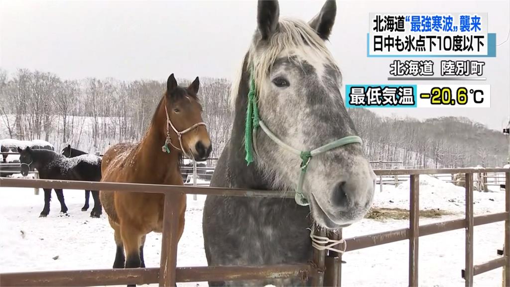 日最強寒流報到！北海道下探-20度
