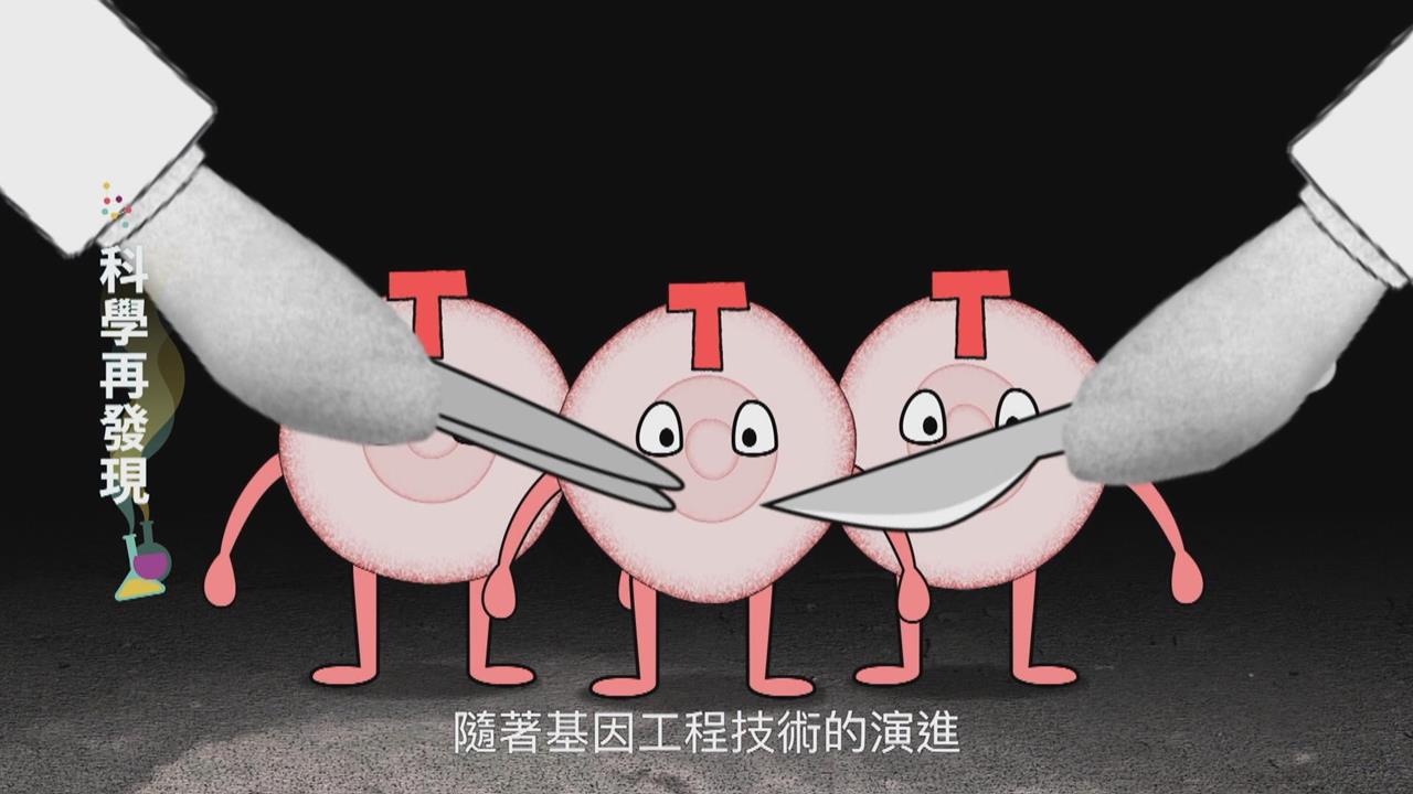 基因編輯技術進步　生態平衡成問題