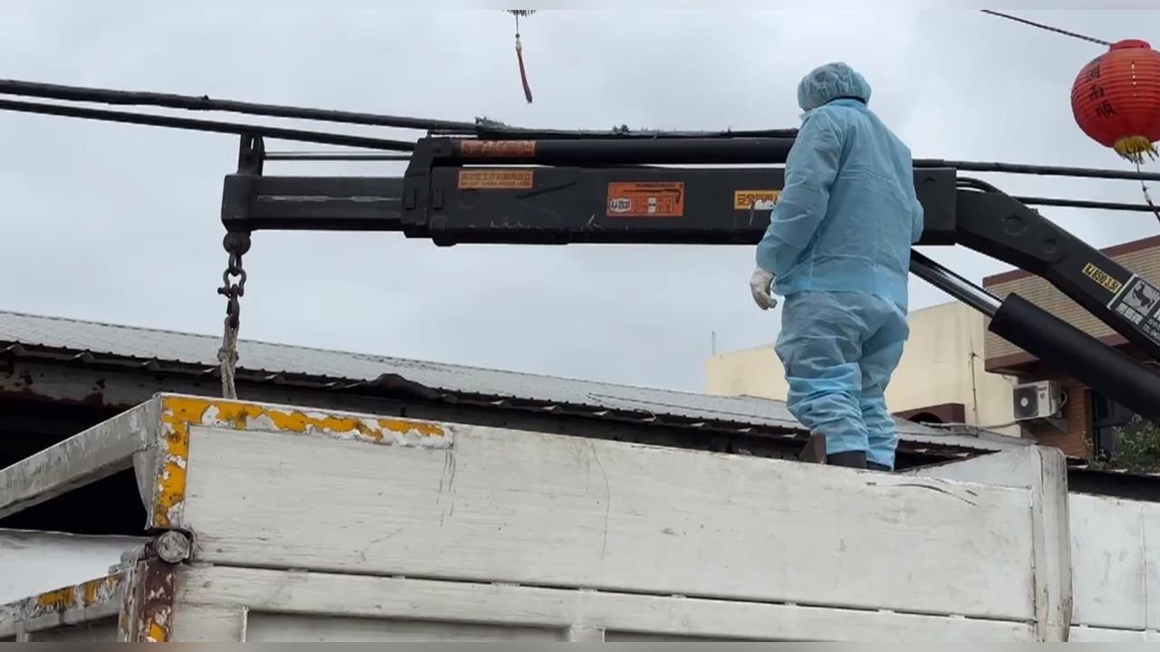 非洲豬瘟疫調!化製三聯單數字疑兜不攏 檢調偵辦調查