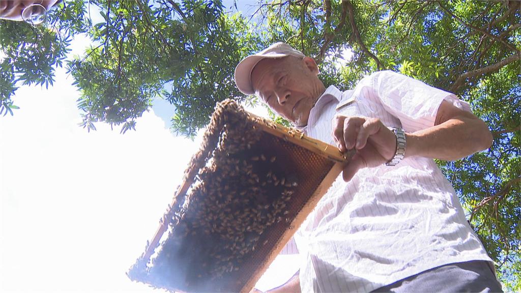 養蜂業世代融合　從傳統產業走入<em>生技產業</em>