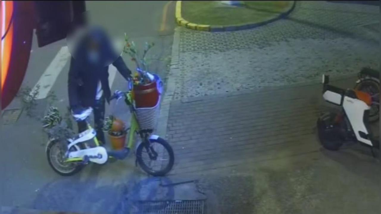 快新聞／皮克敏真人版？花蓮男化身「深夜園丁」邊偷邊種　離奇行徑曝光