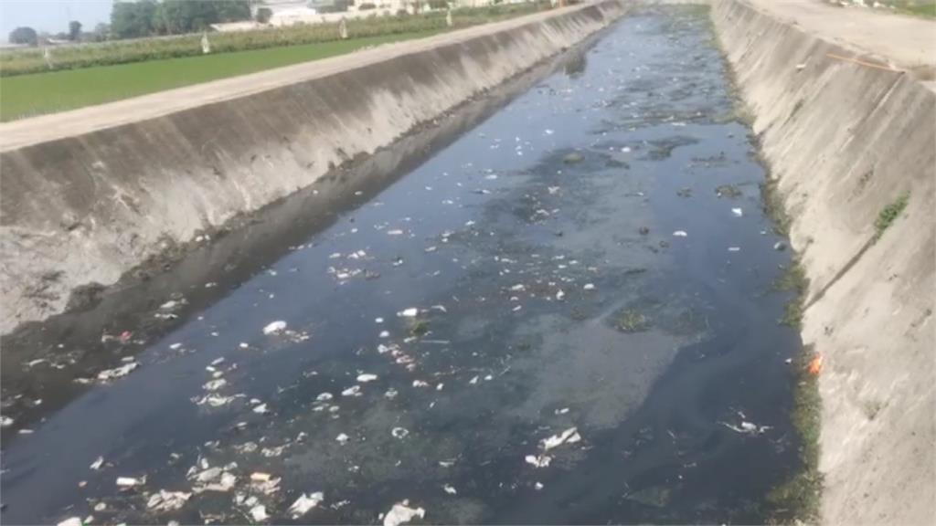 雲林養豬場違法排放廢水 農民怒：菜園旁邊都是OO