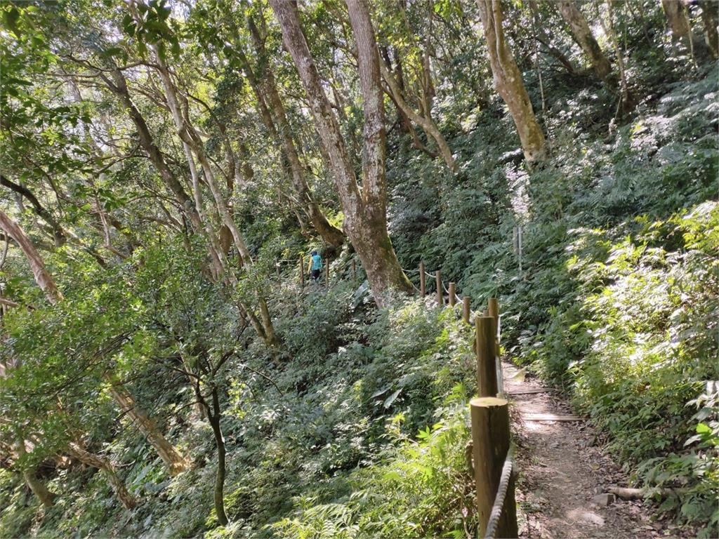 【桃園文選】沐浴於東滿步道 滌凡蕩慮