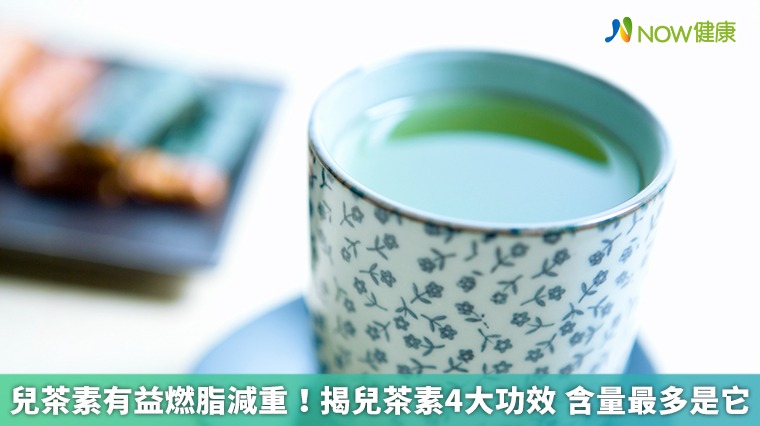 兒茶素有益燃脂減重！揭兒茶素4大功效　含量最多是它
