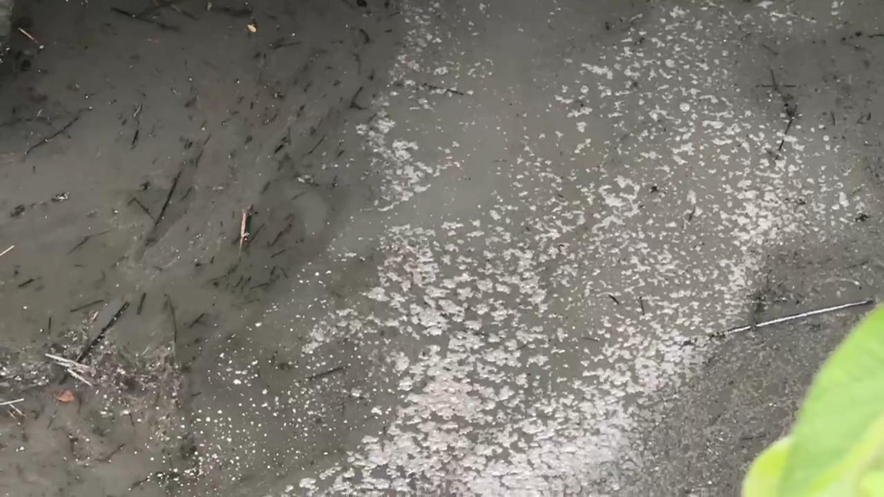 正方倉儲、國光客運保修廠排廢水 基隆市府:非自來水污染元凶