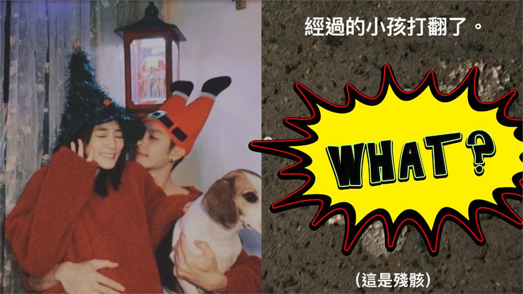 王淨生日「迪士尼約會」曹佑寧！捧蛋糕「慘被小孩打翻」畫面曝：快哭了