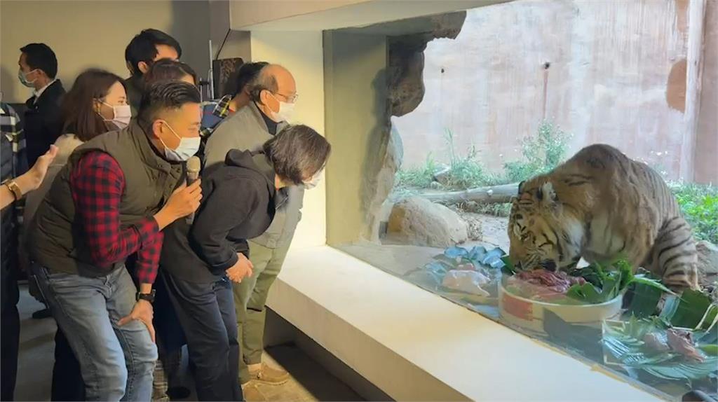 快新聞/小英總統、林智堅春節慰問動物園員工 與老虎兄弟「六福」、「來福」同框合照