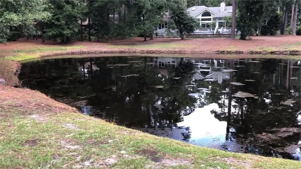驚！ 婦人奮力救愛犬 遭鱷魚拖入湖中喪命