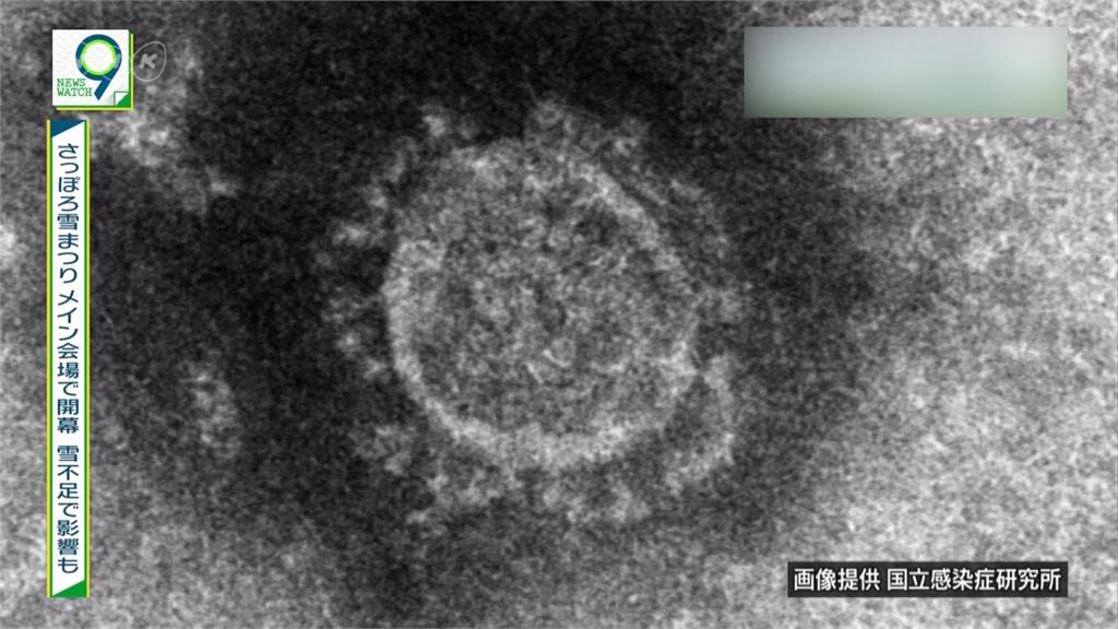 武漢肺炎找解藥 中國：抗瘧疾、伊波拉藥物有效