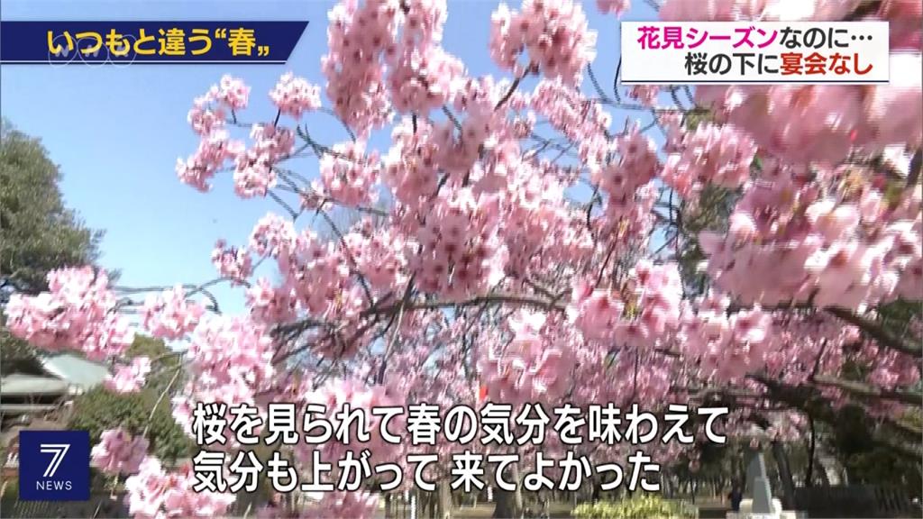 日本國內病例破1千大關 上野公園櫻花祭取消