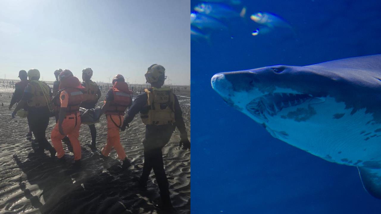 55歲三鐵女選手遭「巨鯊啃咬拖入海」失蹤一週　丈夫目睹全程…40km外尋獲遺體！