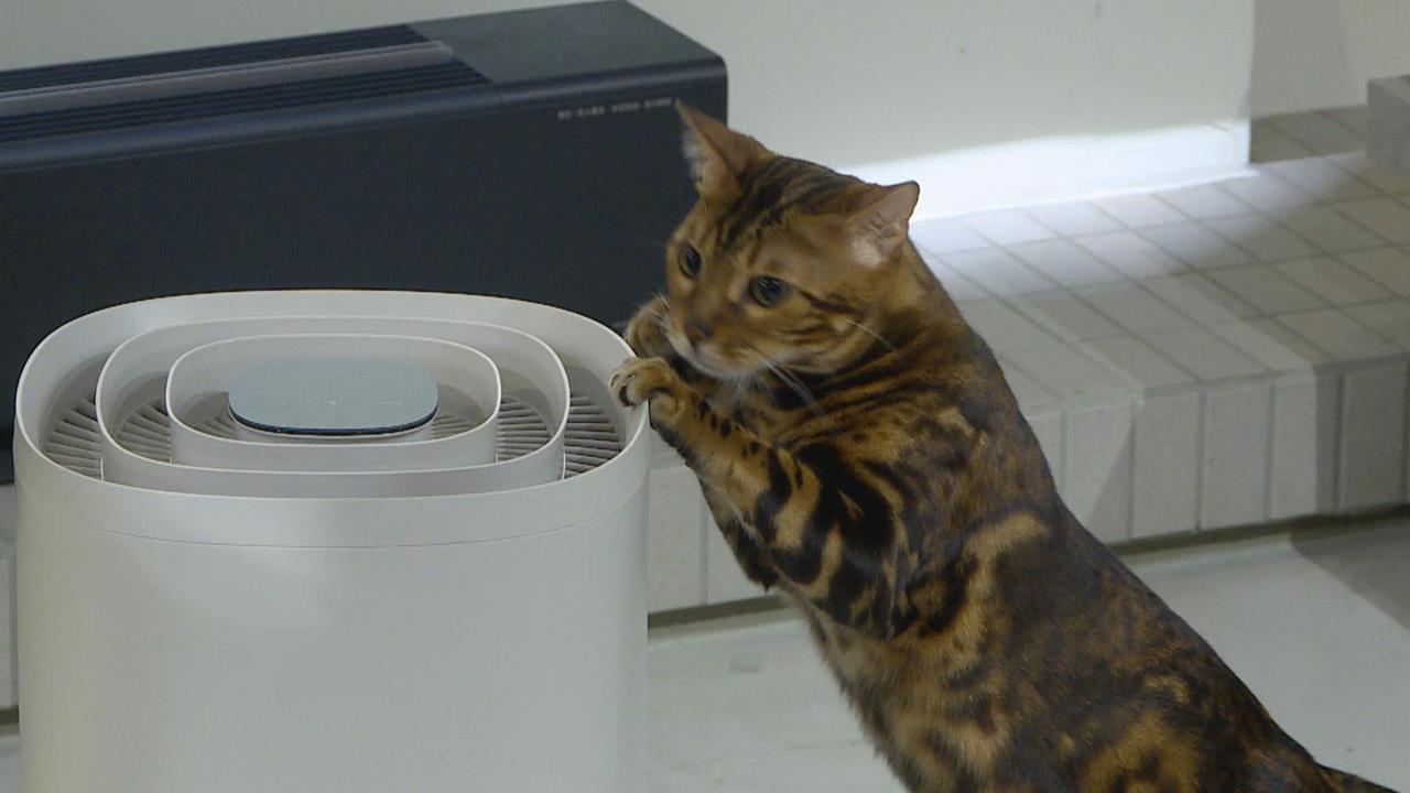 百年家電領導品牌推寵物專屬空氣清淨機 解決家中過敏原等困擾