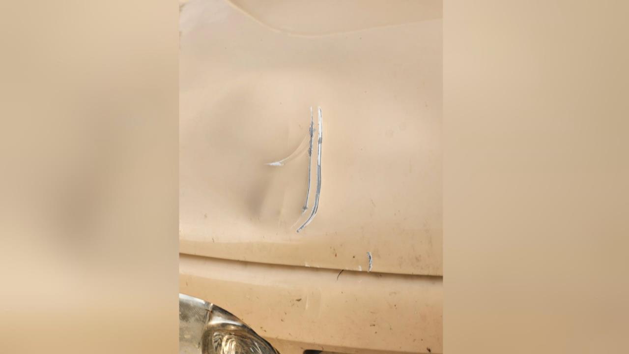 日本熊害不斷！北海道棕熊狂追汽車　引擎蓋遭拍到凹陷