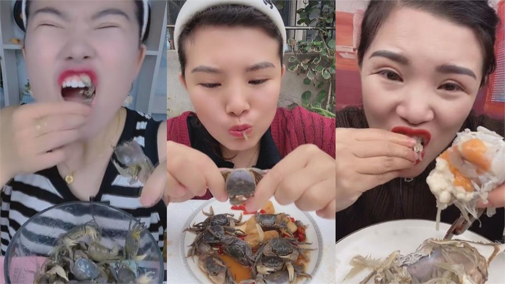 噁心慎入！中國大嬸「生吃螃蟹」博版面　蟹螯夾嘴驚呆網：來真的