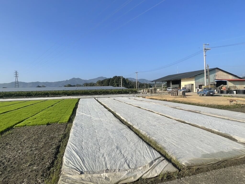寒流將近　高市農業局籲加強農作防寒措施