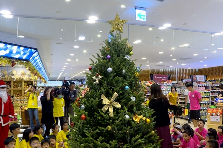 超市引進美國聖誕樹 營造歐式耶誕風情