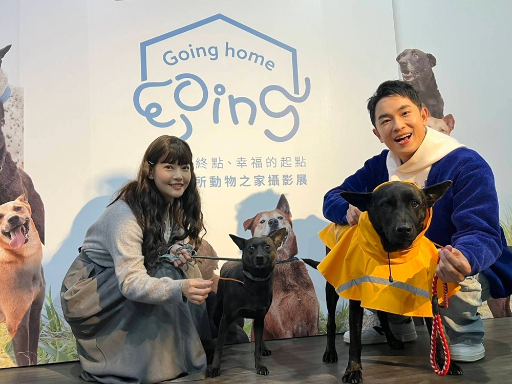 AI科技幫忙找家　新北動保處透過影像讓毛寶貝被看見