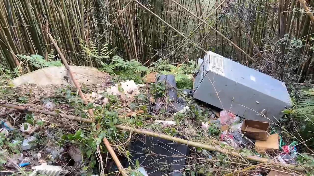 敗血症就醫驚見「體內有胎盤」 女坦承生下夭折女嬰丟棄復興山區