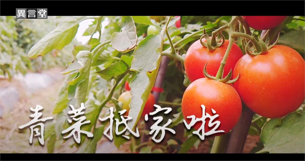 異言堂／另一座護國神山　全球最大種子庫在台灣