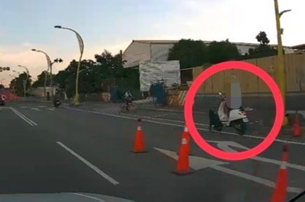犬隻突衝車道　電動車騎士犁田擦傷警籲確實繫繩