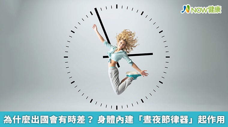 為什麼出國會有時差？身體內建「晝夜節律器」起作用