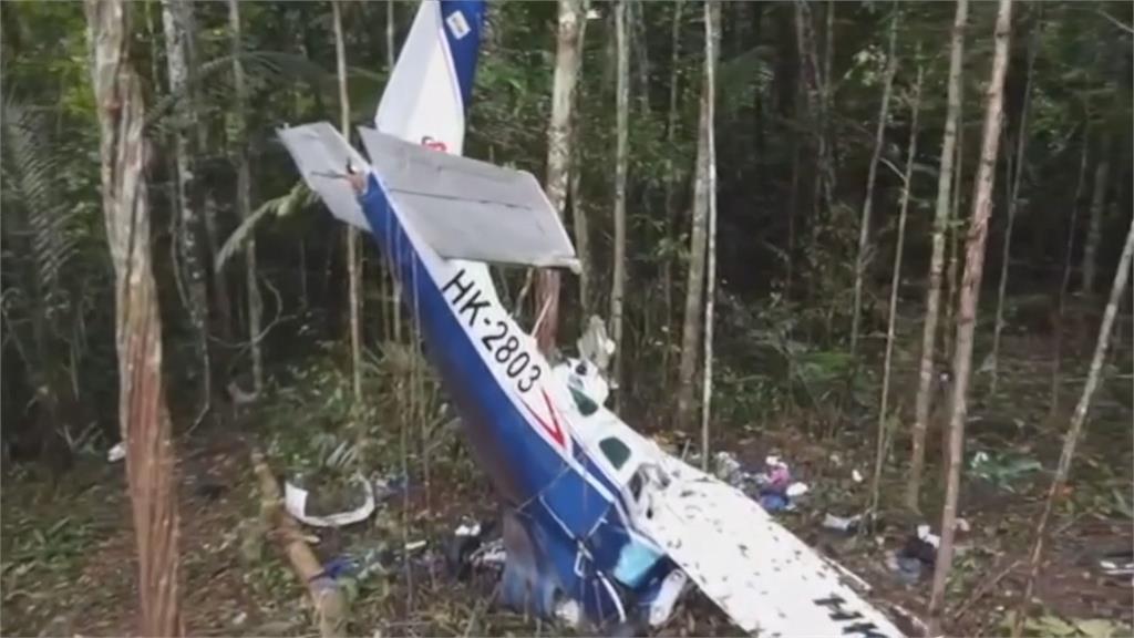 哥倫比亞小飛機墜毀！　4孩童困亞馬遜雨林40天奇蹟生還