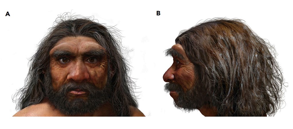 中國發現新人種「龍人」完整頭骨化石揭演化新證據