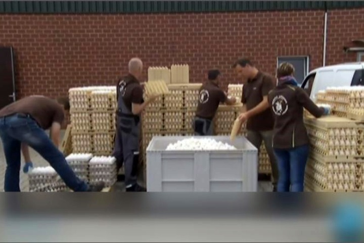 歐洲毒雞蛋風波如滾雪球 荷蘭檢方已逮捕2名負責人