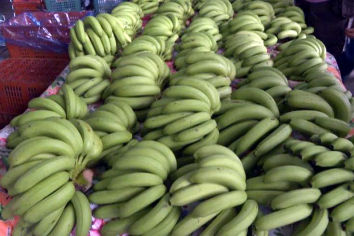 香蕉崩跌 嘉縣府五十萬買蕉搶救蕉農
