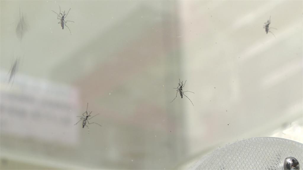 「蚊子採血器」可驗病毒 台高中生奪國際競賽金牌